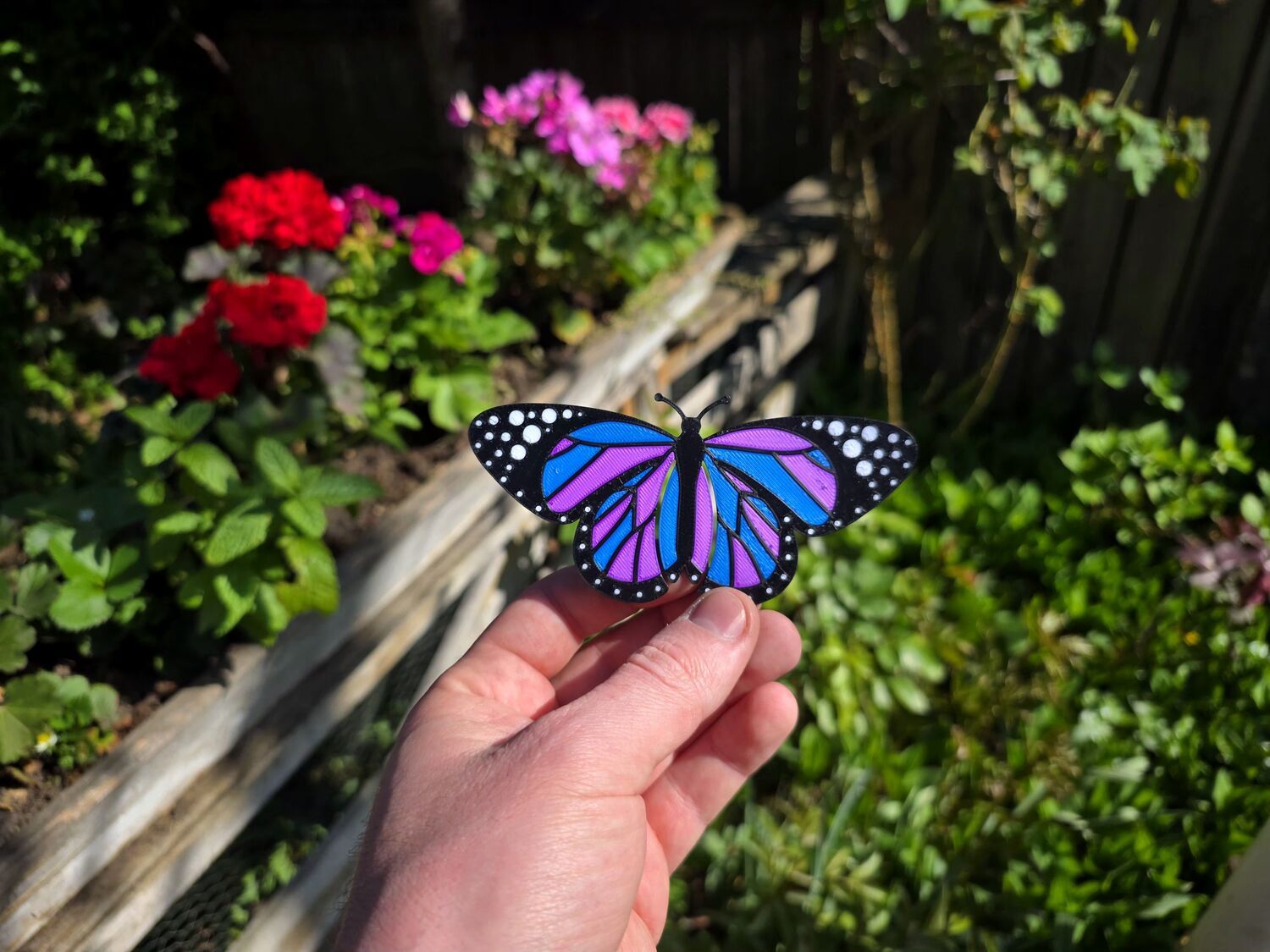 Semn de carte: Fluture