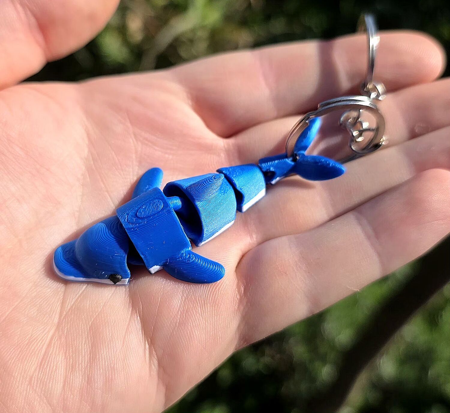 Breloc: Delfin