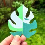 - Suport pahare: Monstera Variegata - 6 modele